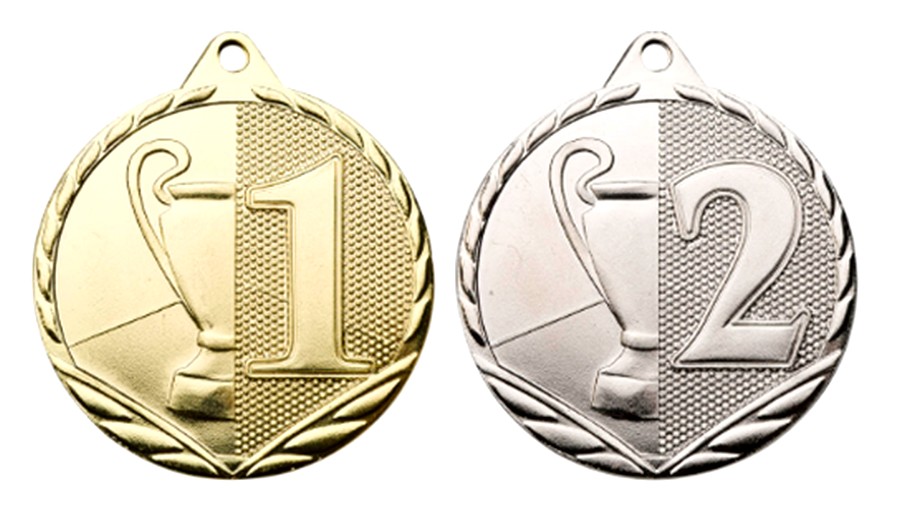 E 255 Medaille 1-2 G/Z Ø 45 mm compleet OP=OP!!